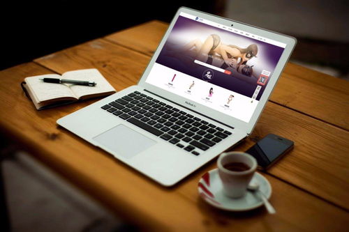 g點(diǎn)網(wǎng) 情趣商品在線體驗(yàn)式平臺(tái)