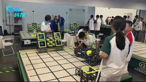 2024世界機(jī)器人大會(huì) AI產(chǎn)品璀璨亮相，科技中介服務(wù)助力青少年科技創(chuàng)新