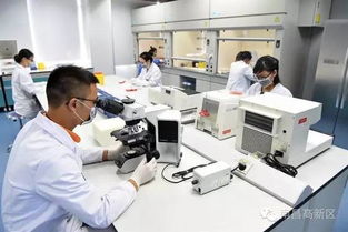 拼出新高度 十四項(xiàng)大舉措全面賦能高新區(qū)科技創(chuàng)新與科技中介服務(wù)升級